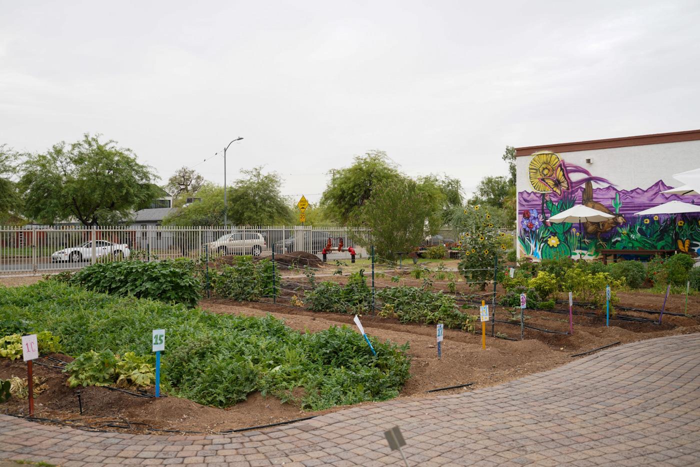 Garfield’s Garden on the Corner